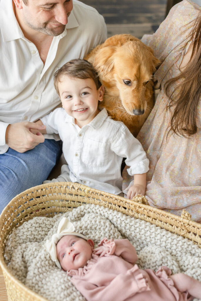 golden retriever Houston newborn photographer